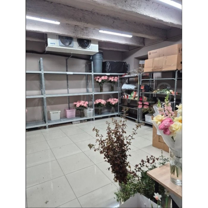 Остоженка улица, 10 - Аренда помещения свободного назначения: 181.50 кв.м.