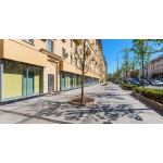 Большая Садовая улица, 3с1 - Аренда здания: 508.00 кв.м.