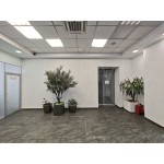Космонавта Волкова улица, 14 - Аренда офиса: 160.10 кв.м.