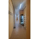 Большой Спасоглинищевский переулок, 9/1с16 - Аренда ресторана: 370.00 кв.м.