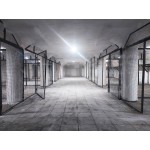 Рябиновая улица, 47с5 - Аренда склада: 1250.00 кв.м.