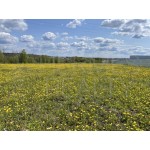  - Продажа земельного участка: 27600.00 кв.м.
