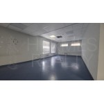 Вересаева улица, 14 - Аренда помещения свободного назначения: 230.00 кв.м.
