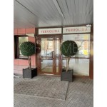 Маршала Жукова проспект, 59 - Продажа помещения свободного назначения: 638.30 кв.м.