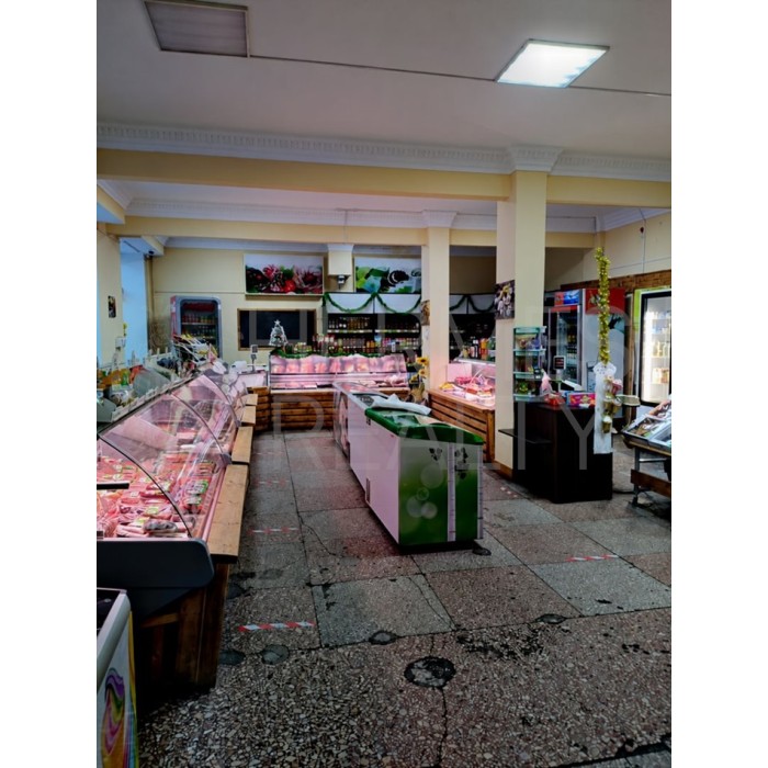 Маяковского улица, 9 - Продажа здания: 585.50 кв.м.