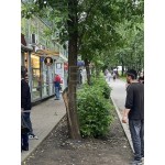 Уральская улица, 6к1 - Аренда офиса: 70.00 кв.м.
