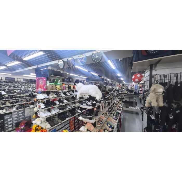 Родники улица, 6 - Продажа помещения свободного назначения: 935.00 кв.м.