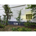Хачатуряна улица, 16 - Продажа помещения свободного назначения: 752.30 кв.м.