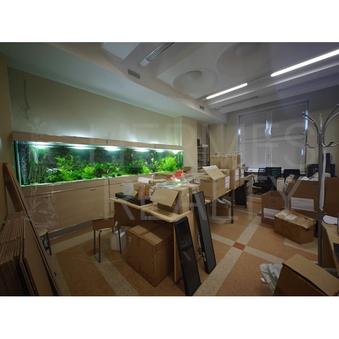 Радио улица, 24к1 - Аренда офиса: 281.00 кв.м.